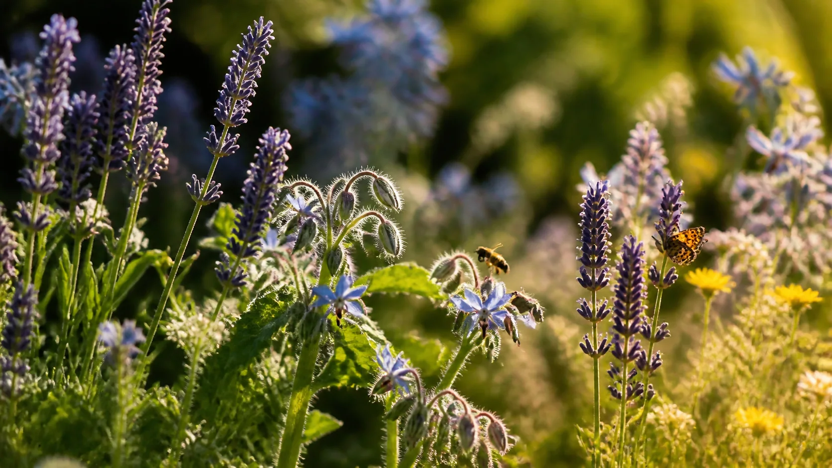 Quelles plantes favoriser pour attirer les pollinisateurs